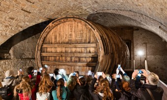 Schlossfass-Führung